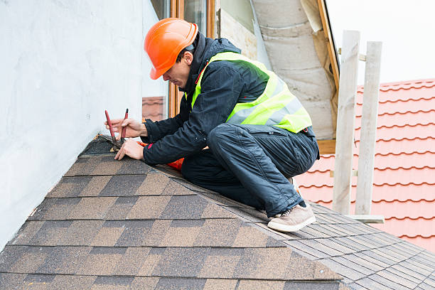 Best Roof Gutter Cleaning  in Grafton, ND