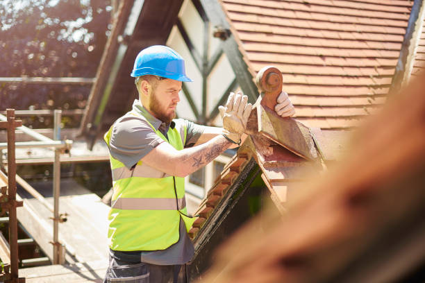 Best Roof Leak Repair  in Grafton, ND