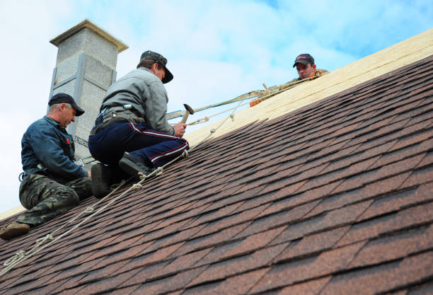 Best Local Roofing Companies  in Grafton, ND